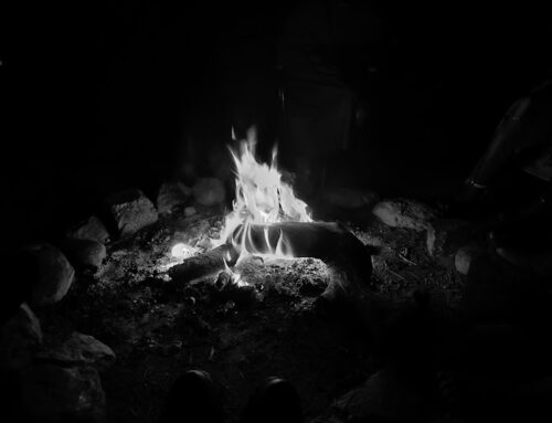 Descobrint el Treball de Processos